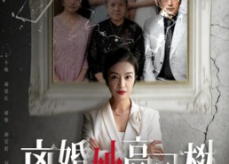 短剧《至亲之人伤我最深（67集）》短剧免费全集在线赏