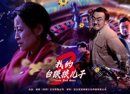 短剧《我的白眼狼儿子（81集）》优质短剧全集在线畅享