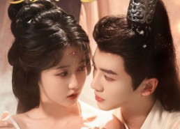 短剧《将军府茶香四溢（62集）》精彩短剧在线免费追全集