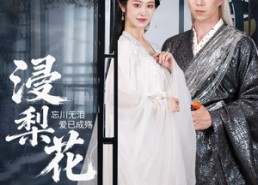 短剧《浸梨花（50集）》短剧高清全集在线观