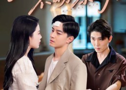 短剧《月落不盼黎明（64集）》短剧在线畅享完整版