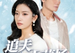 短剧《追夫火葬场（31集）》短剧高清全集在线速看