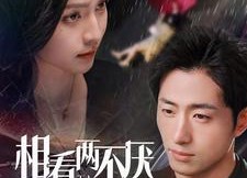 短剧《相看两不厌（80集）》免费短剧完整版观看