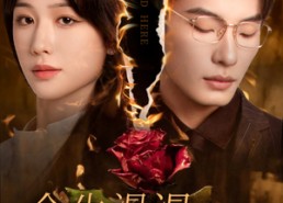 短剧《余生漫漫不相见（30集）》热门短剧在线免费追