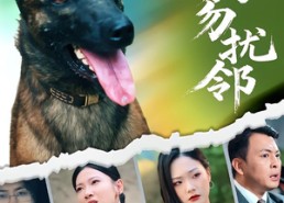 短剧《养狗勿扰邻（31集）》免费短剧完整版观看