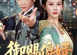 短剧《御赐S婿（81集）》超燃短剧全集免费观