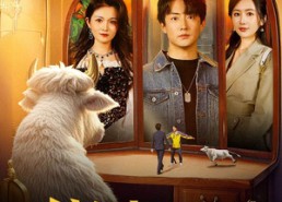 短剧《我能倾听动物心声（50集）》短剧免费高清在线追