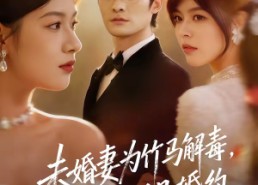 短剧《未婚妻为竹马解毒，他撕毁婚约（41集）》免费短剧全集流畅播放