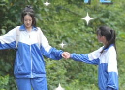 短剧《双生花（36集）》免费短剧完整版观看