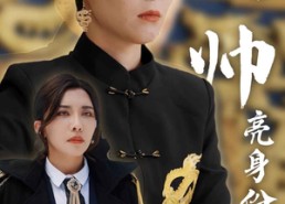 短剧《女帅亮身份后渣男跪地唱征服（81集）》短剧免费全集畅快观看