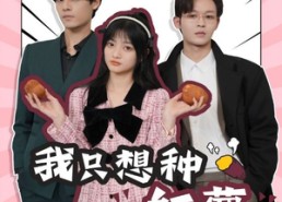 短剧《穿书后，我只想种红薯（93集）》短剧全剧情免费在线览