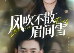 短剧《风吹不散眉间雪（77集）》热门短剧免费在线赏