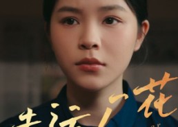 短剧《幸运厂花（30集）》爆款短剧免费畅看全集