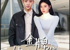 短剧《金牌纨绔日常（72集）》爆款短剧完整版在线