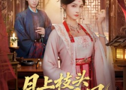 短剧《月上枝头做凤凰（80集）》短剧免费观看无广告