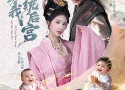 短剧《三宝助我一统后宫（61集）》精彩短剧在线免费赏