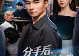 短剧《分手后，高冷女神倒追我（80集）》精彩短剧免费全集播放