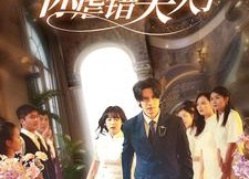 短剧《陆总住手吧，你虐错夫人了（80集）》热门短剧免费畅快看