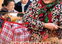 短剧《婆婆进城过大年（33集）》短剧在线免费看全集