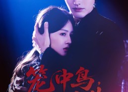 短剧《笼中鸟，烬中生（60集）》短剧高清全集免费播放