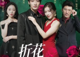 短剧《折花枝上开（51集）》热门短剧在线高清看