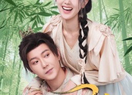 短剧《尺墨惊堂（65集）》短剧高清全集在线观赏