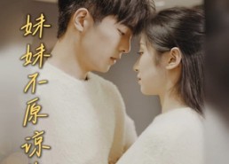 短剧《报告哥哥妹妹不原谅你（33集）》精彩短剧免费畅享全集