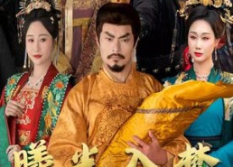 短剧《曦光入梦震山河（60集）》短剧高清全集免费收看