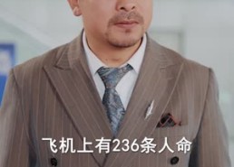 短剧《停飞后，我的航班坠毁了（100集）》短剧完整高清免费播