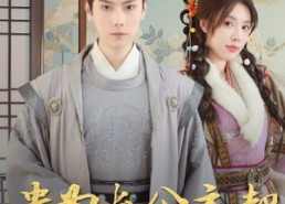 短剧《贵为长公主却被外室贴脸开大（32集）》精彩短剧在线高清播放