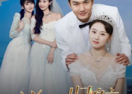 短剧《逆风归航（55集）》短剧全集免费在线播放