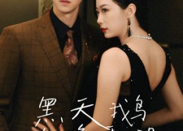 短剧《黑天鹅攻略手册（72集）》短剧免费全集流畅播放