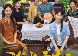 短剧《浴火重生后夏小姐在线虐渣（79集）》短剧全集免费在线追