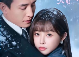 短剧《撕婚（23集）》免费短剧全集流畅播放