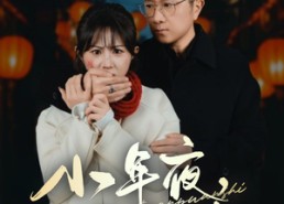 短剧《小年夜万家灯火没有我（35集）》精彩短剧免费畅看全集