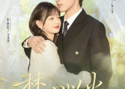 短剧《焚心以火（72集）》精彩短剧在线高清观看