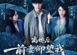 短剧《离婚后，前妻仰望我扶摇直上（84集）》短剧超长剧情在线赏