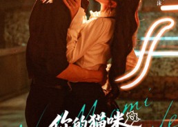 短剧《你的猫咪成女友了（70集）》短剧热门资源在线观赏