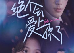 短剧《绝不会爱上你了（55集）》短剧在线观看无广告