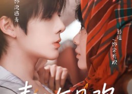 短剧《青山乍见欢之一见钟情（84集）》热门短剧全集在线赏