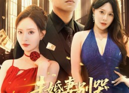 短剧《未婚妻别哭，我真的是天命大反派（80集）》爆款短剧全集免费看