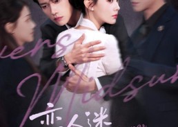 短剧《恋人迷失仲夏夜（73集）》短剧全集免费在线追剧