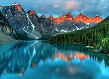 短剧《假死后，未婚夫幡然醒悟（60集）》热门短剧在线高清播放