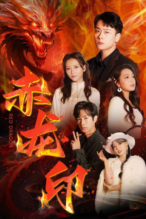 赤龙印（80集）全集我都看完了