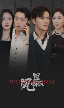 风暴(77集) 风暴(77集)短剧太好看了吧