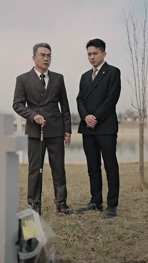 归巢（80集）红果短剧看全集