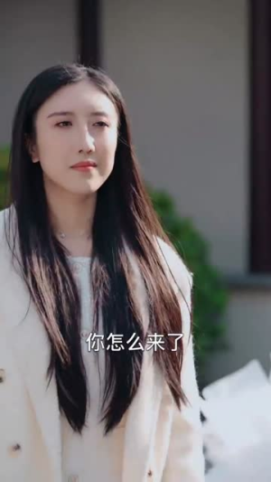 跨国追杀（71集）好看短剧看不停