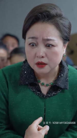 归路（73集）精彩的短剧