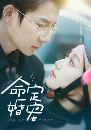 命定婚宠（61集）热门短剧来袭