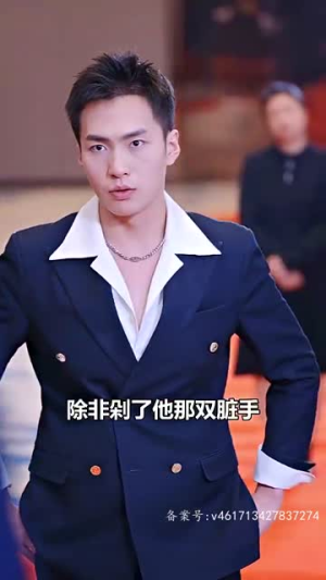 医武神婿(90集) 医武神婿(90集)全集在线看